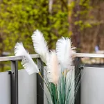 Park C Piamola Wifi * Stegna (Pomerania)