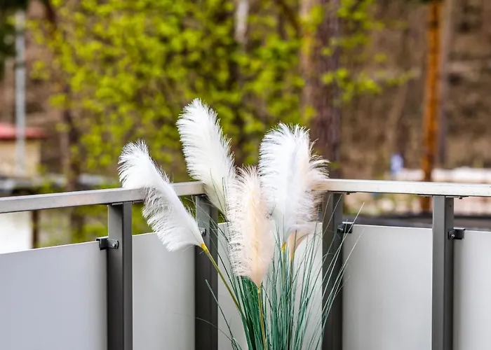 Park C Piamola Wifi, Bezplatne Solarium * סטגנה